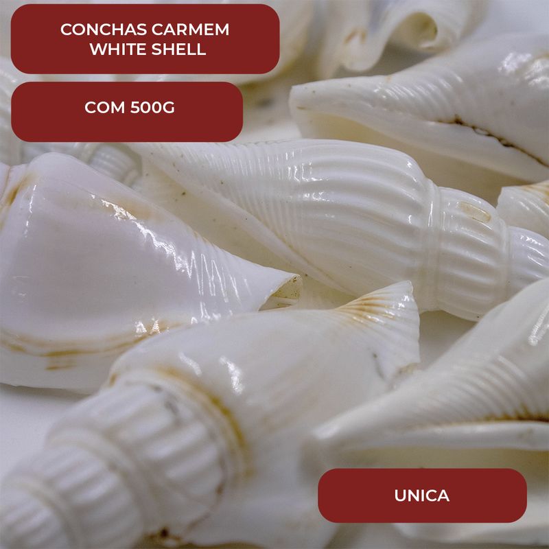 CONCHAS-CARMEM-WHITE-SHELL-COM-500G---UNICA