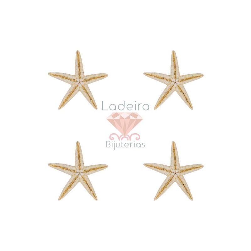 ESTRELA-DO-MAR-2-4CM-100PCS-000---UNICA