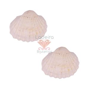 CONCHA DO MAR COOKIA TIGERINA UNPAIR 6.5X7 750G