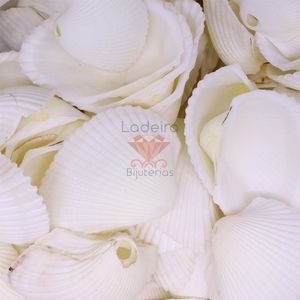 CONCHA DO MAR 35X45 500G