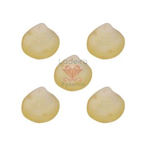 CONCHA DO MAR PECTEN ANNACHLAMYS MACASSARENSIS 75G