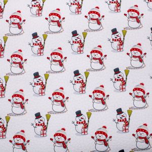 LONITA DOLARO ESTAMPADA BONECO DE NEVE 24X40CM COM 6 UNIDADES