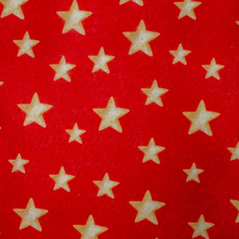 FELTRO-ESTAMPADO-ESTRELAS-25X70CM-UNIDADE---103---COLORIDO