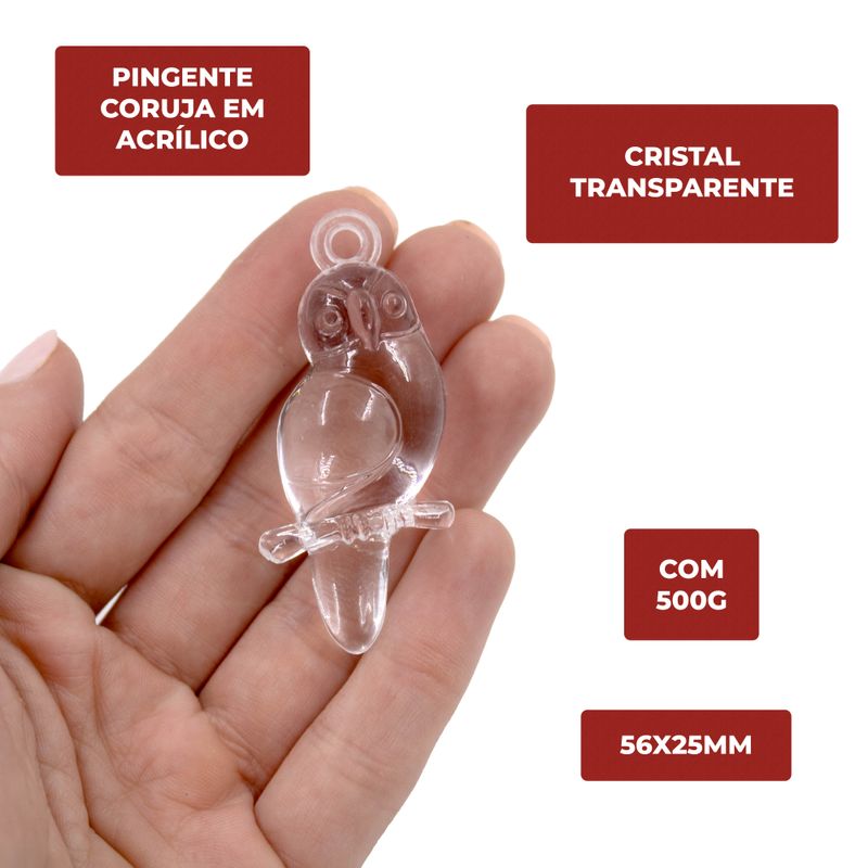 PINGENTE-CORUJA-56X25MM-EM-ACRILICO-COM-500G---001---CRISTAL-TRANSPARENTE-001