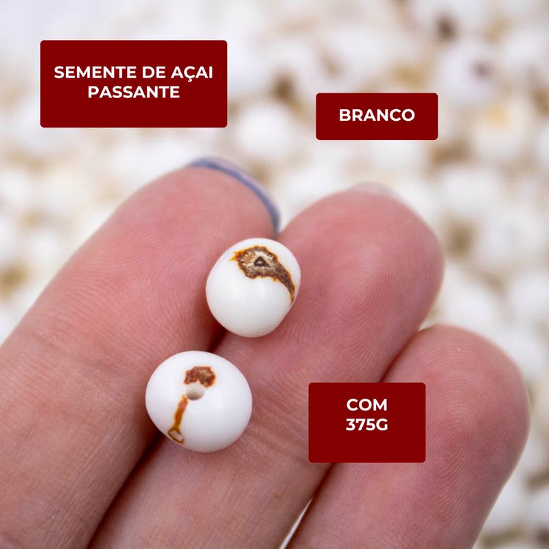 SEMENTE-DE-ACAI-PASSANTE-COM-375G-209---BRANCO-209