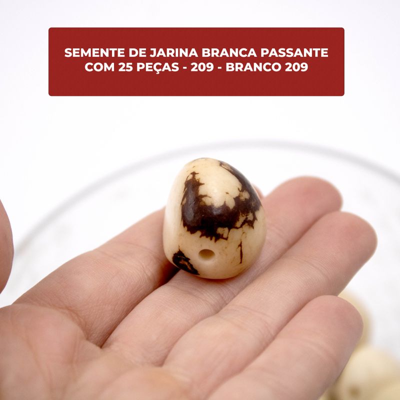 SEMENTE-DE-JARINA-BRANCA-PASSANTE-COM-25-PECAS---209---BRANCO-209