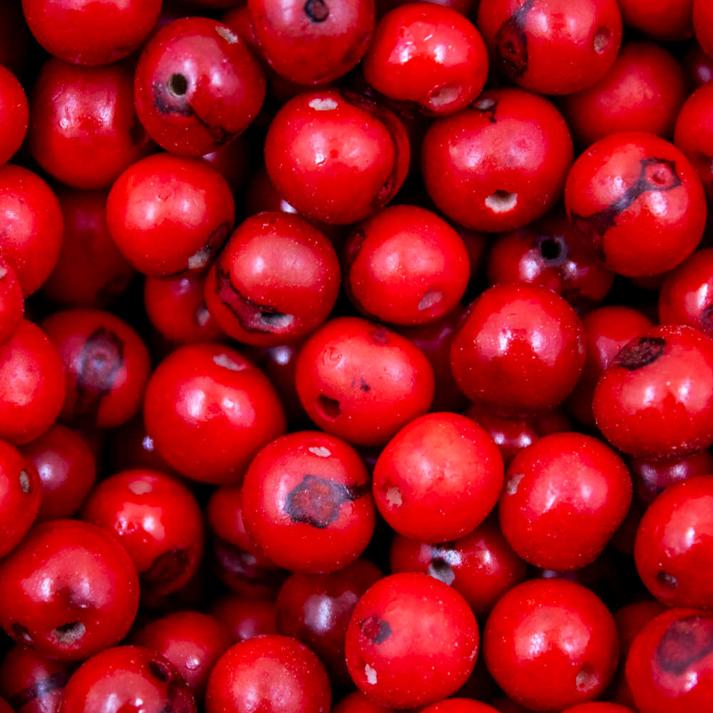 SEMENTE-DE-ACAI-PASSANTE-COM-100-PECAS-VERMELHO