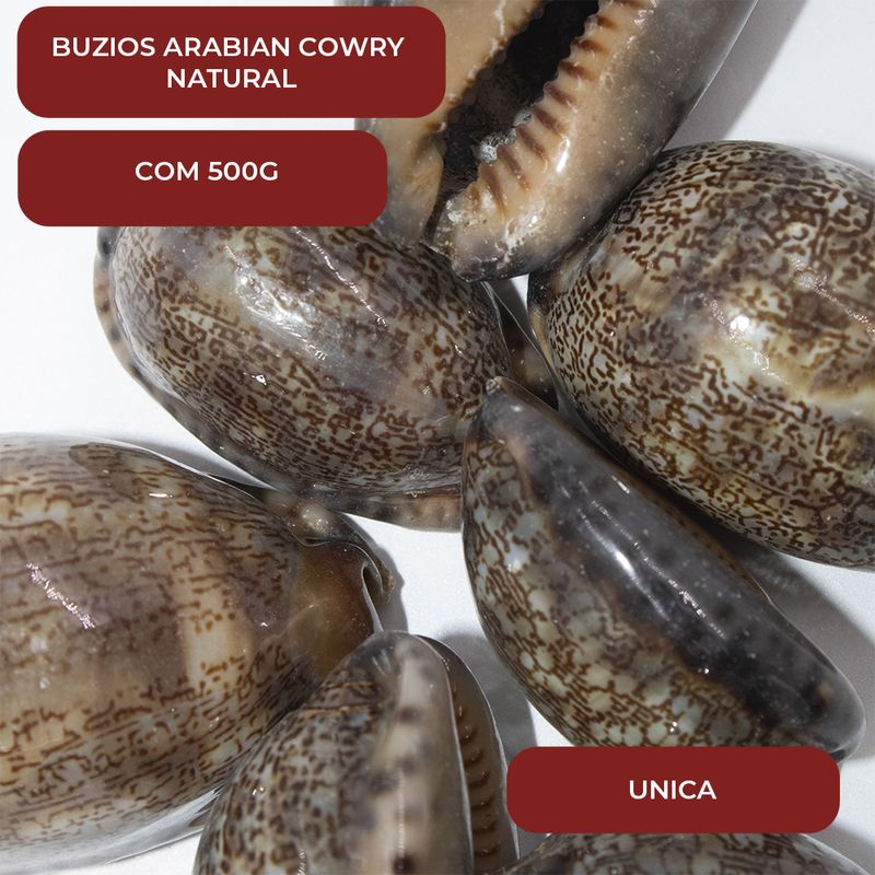 BUZIOS-ARABIAN-COWRY-NATURAL-COM-500G---UNICA