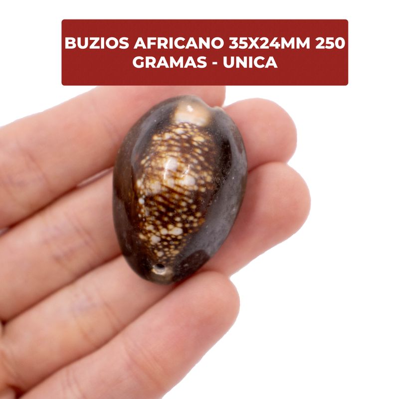 BUZIOS-AFRICANO-35X24MM-250-GRAMAS---UNICA