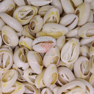 BUZIOS DO MAR TETO DE OURO CORTADO 20X15MM NATURAL COM 1KG