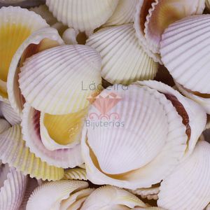 CONCHA DO MAR  NATURAL COM 500G