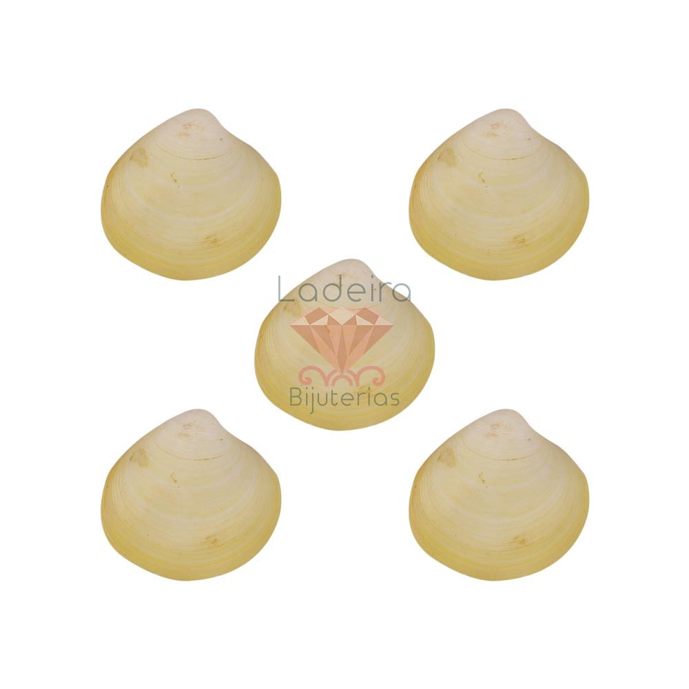 CONCHA DO MAR PECTEN ANNACHLAMYS MACASSARENSIS 75G