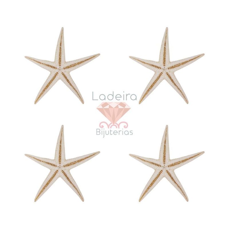 ESTRELA-DO-MAR-4-7-50CS-000---UNICA