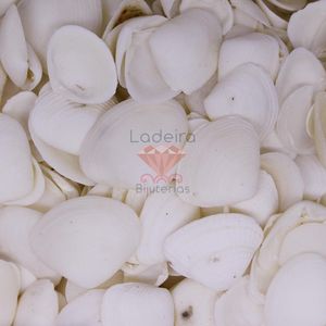CONCHA DO MAR 21X18 500G