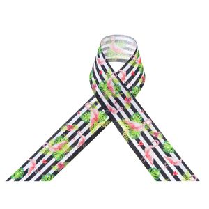 FITA DE GORGURAO FLAMINGO E LISTRA PROGRESSO 38MM COM 10 METROS