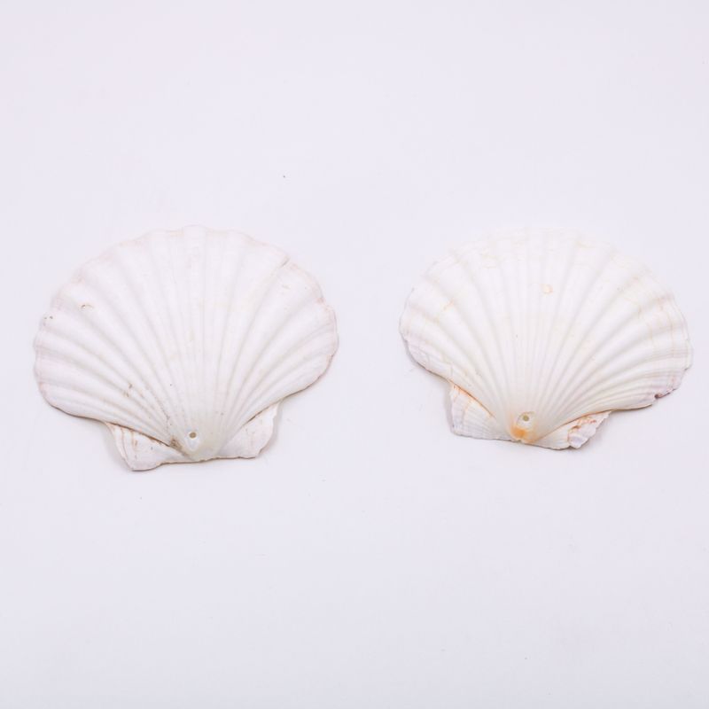 CONCHA-DO-MAR-PASSANTE-09MM-COM-500GR---000---UNICA