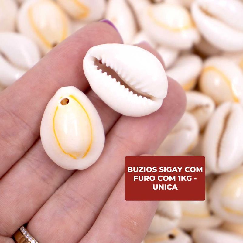 BUZIOS-SIGAY-COM-FURO-COM-1KG---UNICA