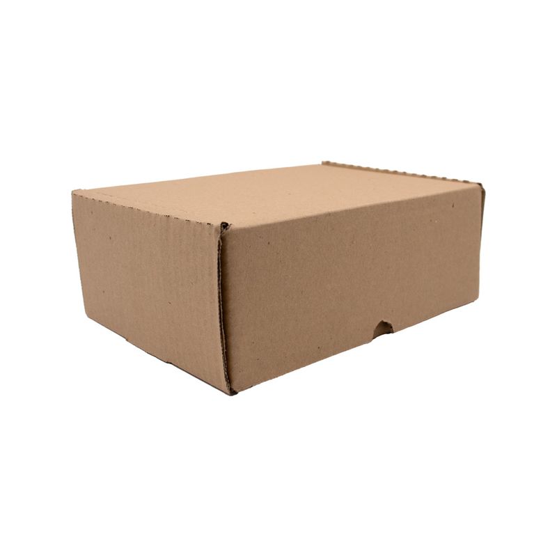 CAIXA-DE-PAPELAO-PARA-CORREIOS-PEQUENA-24X17X09---250-Unidades