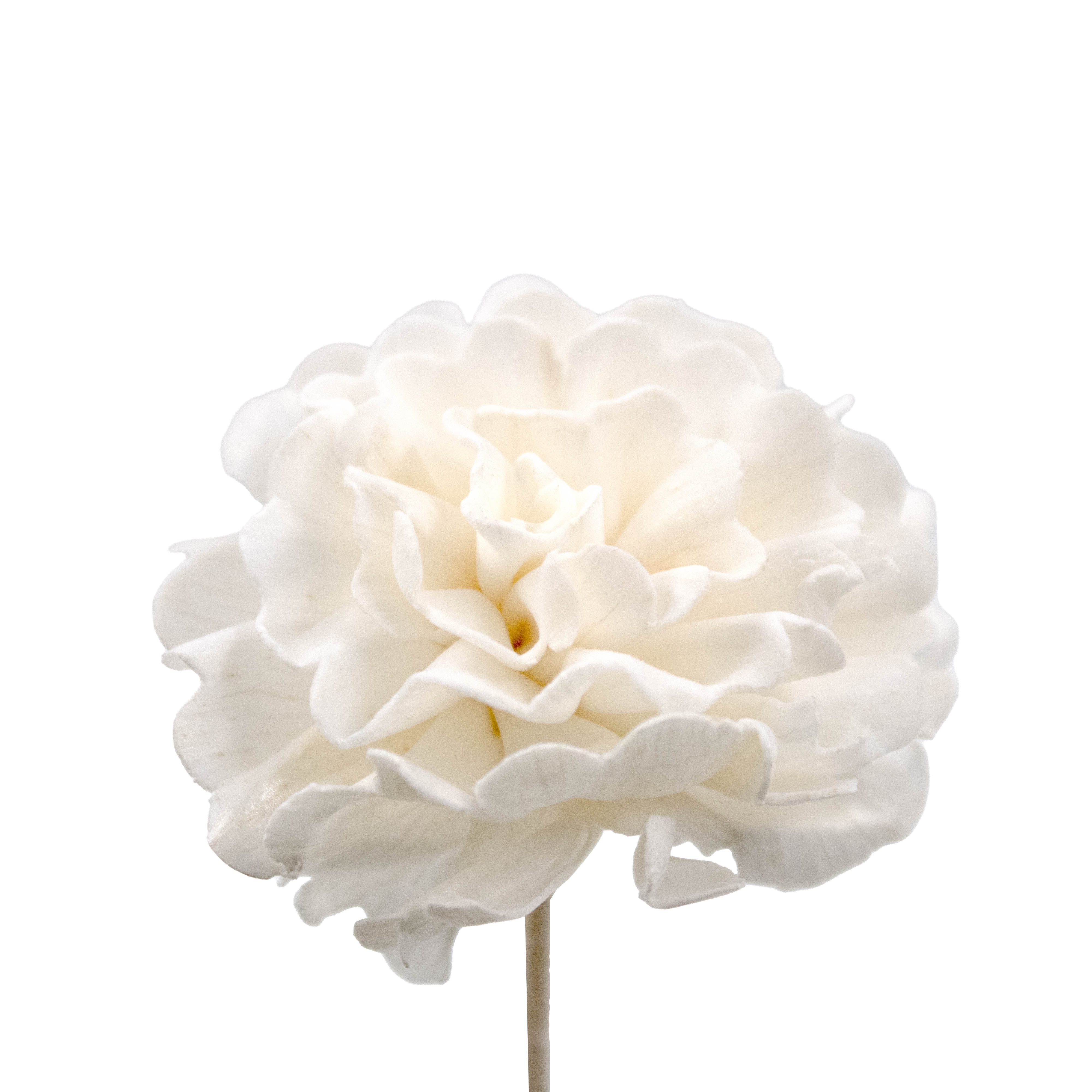 Vareta Decorativa Flor Artificial Crisântemo 05X22cm Em Rattan Com 06 Unidades