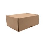 CAIXA-DE-PAPELAO-PARA-CORREIOS-PEQUENA-24X17X09---250-Unidades
