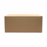 CAIXA-DE-PAPELAO-MALETA-PARA-CORREIOS-GRANDE--46X28X20---01-Unidade