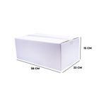 CAIXA-DE-PAPELAO-PARA-CORREIOS-MALETA-38X22X15---209---BRANCO-209