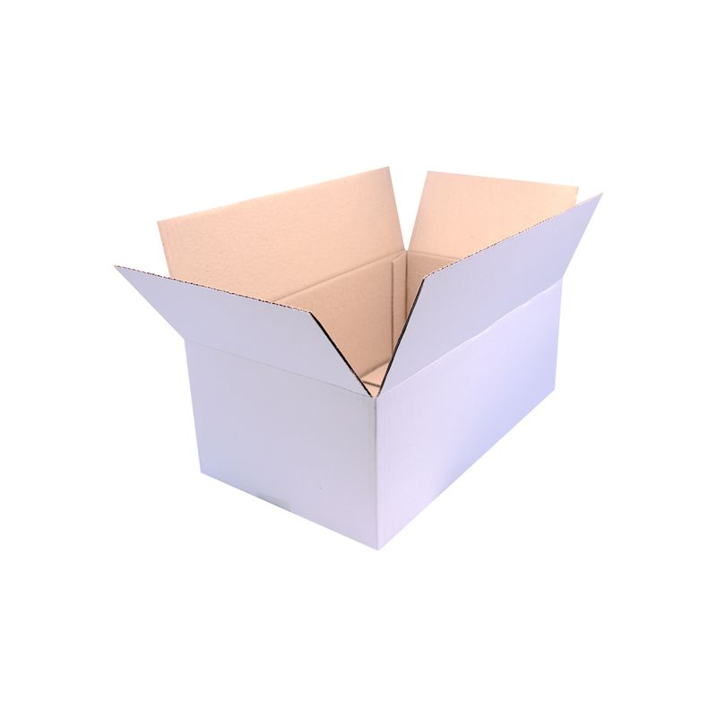 CAIXA-DE-PAPELAO-PARA-CORREIOS-MALETA-38X22X15---209---BRANCO-209