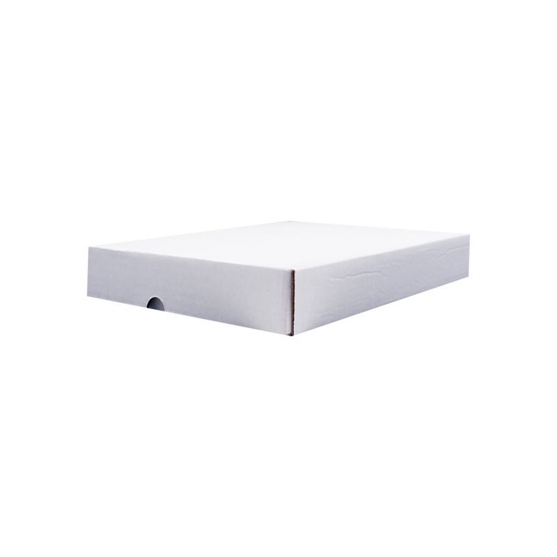 CAIXA-DE-PAPELAO-MONTAVEL-PARA-CORREIOS-23X29X04---209---BRANCO-209