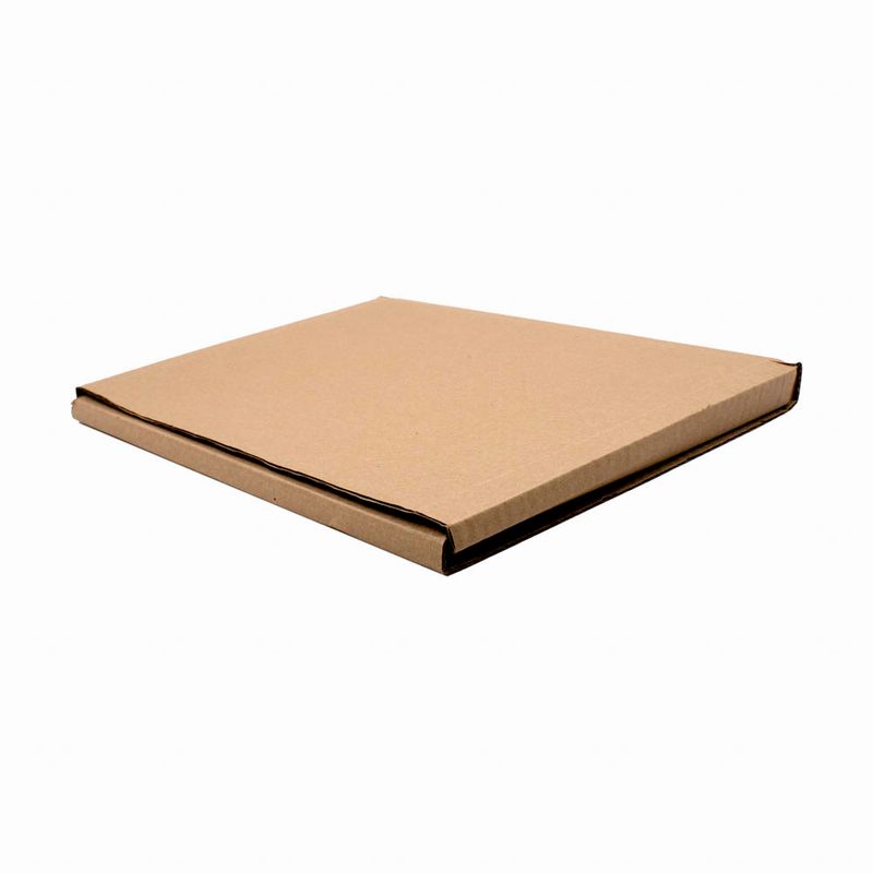 CAIXA-DE-PAPELAO-MONTAVEL-PARA-LIVROS-TAMANHO-31X24X02---500-Unidades