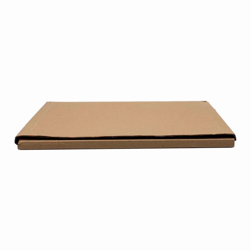 CAIXA-DE-PAPELAO-MONTAVEL-PARA-LIVROS-TAMANHO-31X24X02---500-Unidades