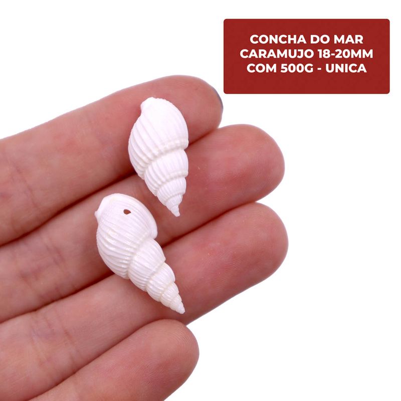 CONCHA-DO-MAR-CARAMUJO-18-20MM-COM-500G---UNICA