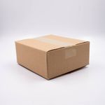 CAIXA-DE-PAPELAO-MALETA-TAMANHO-19X16X07---01-Unidade