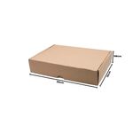 CAIXA-DE-PAPELAO-PARA-CORREIOS-PEQUENA-30X15X06---01-Unidade