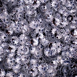 Lantejoula Spinner 08Mm Em Pvc Com 500G
