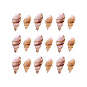 Concha Do Mar Caramujo 18-22Mm Com 500G