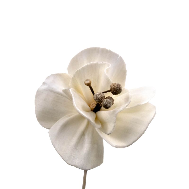 VARETA-DECORATIVA-FLOR-ARTIFICIAL-05X22CM-EM-RATTAN-COM-06-UNIDADES---590---BEGE-590