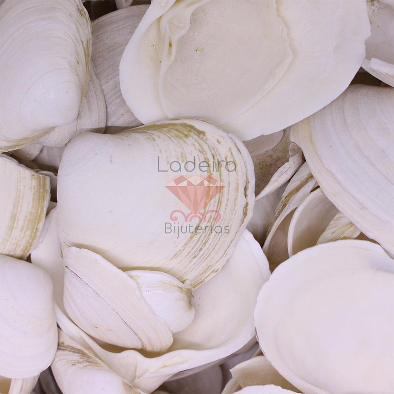 CONCHA-DO-MAR-GIZ-35X4-1KG-000---UNICA