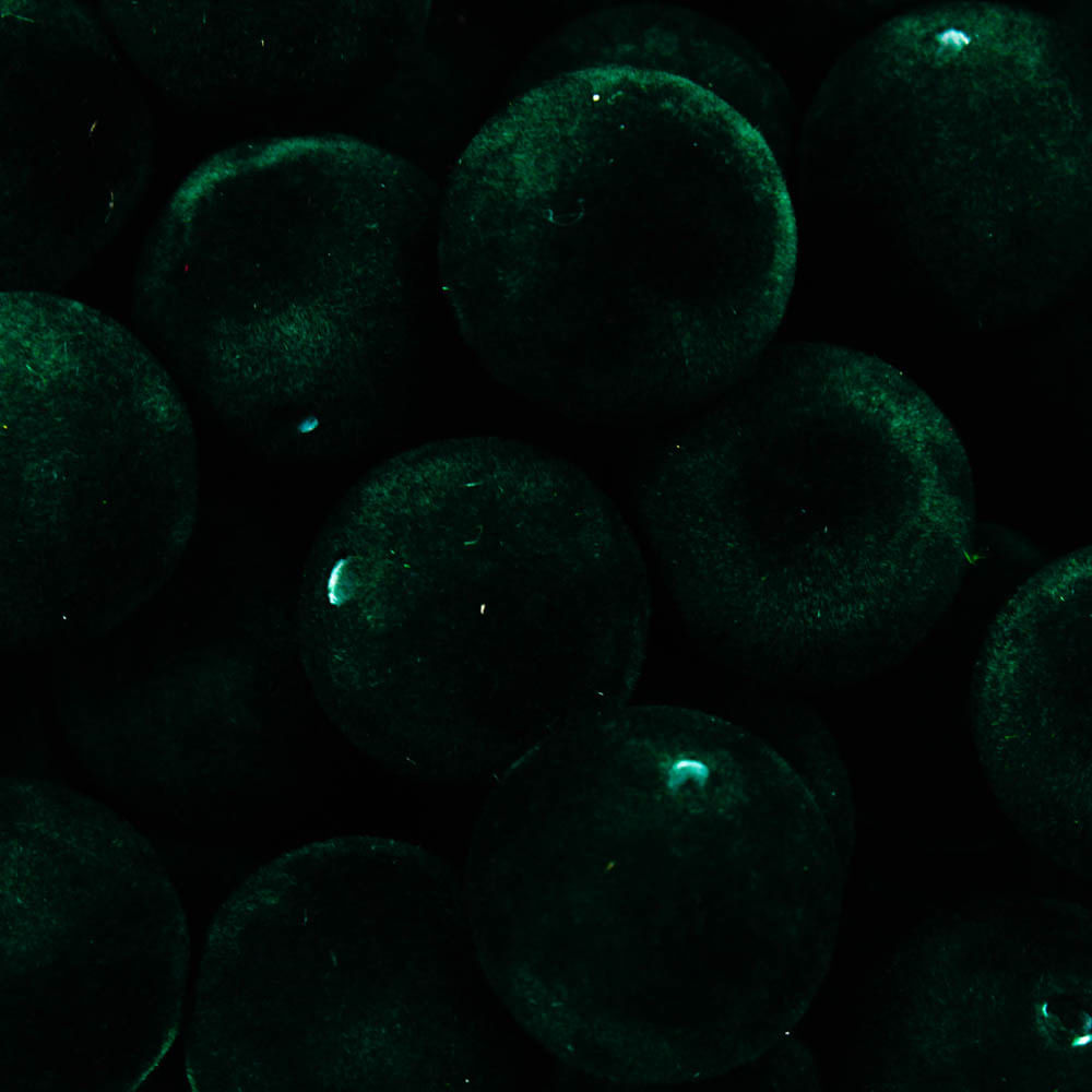 BOLA-DE-CAMURCA-PASSANTE-18MM-EM-PLASTICO-COM-500GR-B636---VERDE