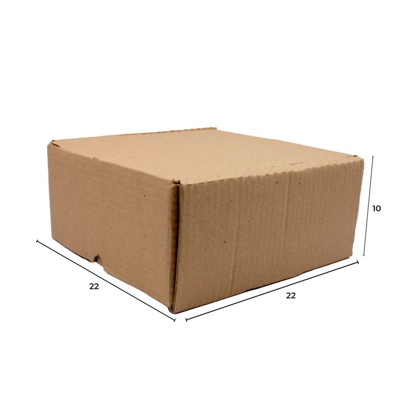Caixa De Papelão Para Correios Pequena 22X22x10-1765455990200