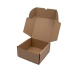 Caixa De Papelão Para Correios Pequena 22X22x10-1765455999318